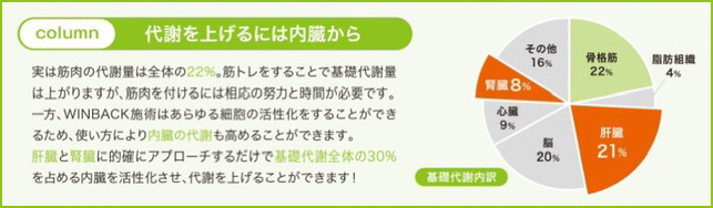 WINBACK ウィンバック　大阪　心斎橋　痩身